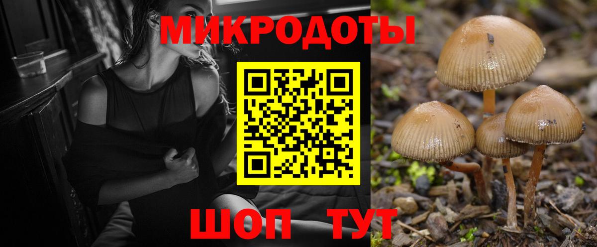 Галлюциногенные грибы Magic Shrooms  Галлюциногенные грибы Psilocybine cubensis  Курчатов  Вход с VPN 